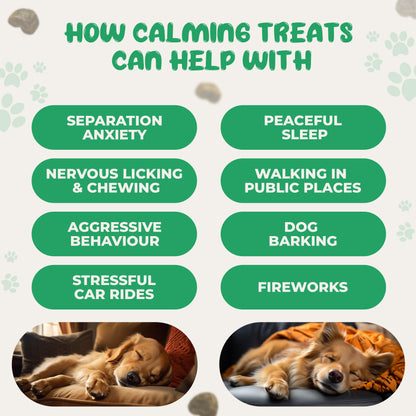 120 Calming Dog Treats