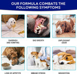 120 Pre & Probiotics Digestive Dog Treats