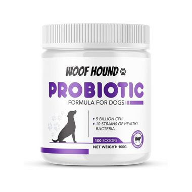 The Ultimate Probiotic Powder