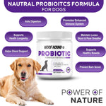 The Ultimate Probiotic Powder